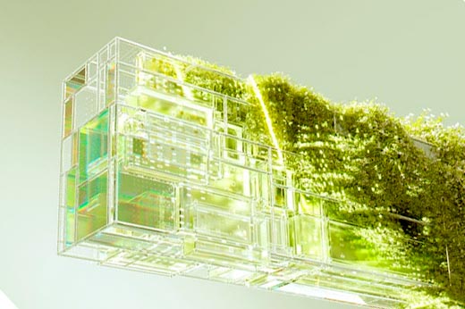 Discover the Chia Blockchain Ecosystem